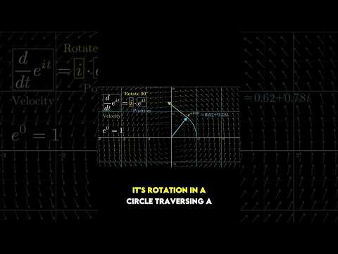 The dynamics of e^(πi)