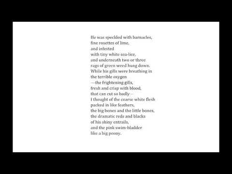 download lagu mp3 mp4 The Fish Elizabeth Bishop, download lagu The Fish Elizabeth Bishop gratis, unduh video klip The Fish Elizabeth Bishop