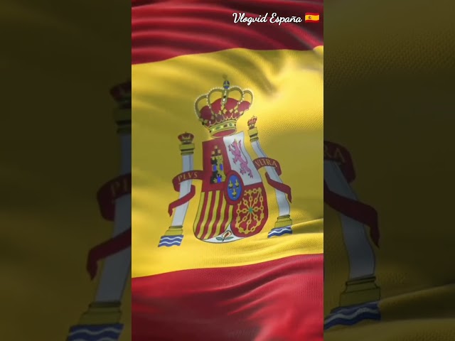 Vídeo relacionado con Aniversario de la Bandera patriótica del Soldado Colonial Camiseta