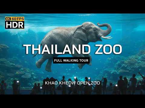 🇹🇭 4K HDR | Beeindruckender Zoo in Thailand 2025 | Khao Kheow Zoo | Rundgang