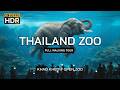 4K HDR Beeindruckender Zoo In Thailand 2025 Khao Kheow Zoo Rundgang
