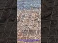 Retaining Wall Collapse in Construction: Bent Steel Structure Caught on Camera