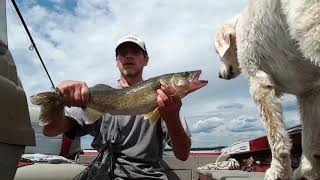 preview picture of video 'Walleye fishing Lake Vermilion Minnesota'