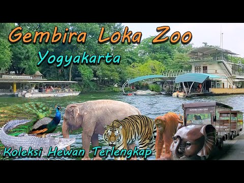 Gembira Loka Zoo The Best Zoo With The Most Complete Animal Collection Family Tourism in Jogja
