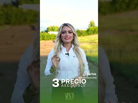 Miniatura del video 9 de Murano