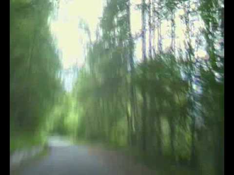 Conti G. - Didero M.   Lancia delta evo   Motori Montani 2010.avi