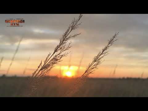 CERITA IBLIS MENDATANGI NABI MUHAMMAD