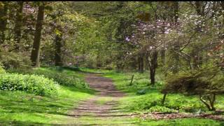 Charles Williams - A Quiet Stroll video
