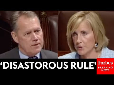 Claudia Tenney And Ed Case Debate Over Greenhouse Gas Amendment: This Is 'Nothing But A Front'