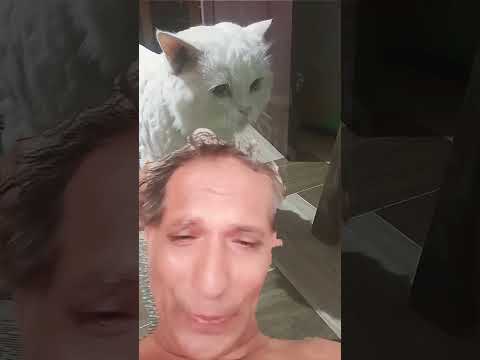 shiju maramon thottapuzhseery village,pta