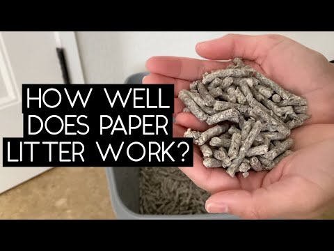 RECYCLED PAPER LITTER REVIEW | SVEN AND ROBBIE