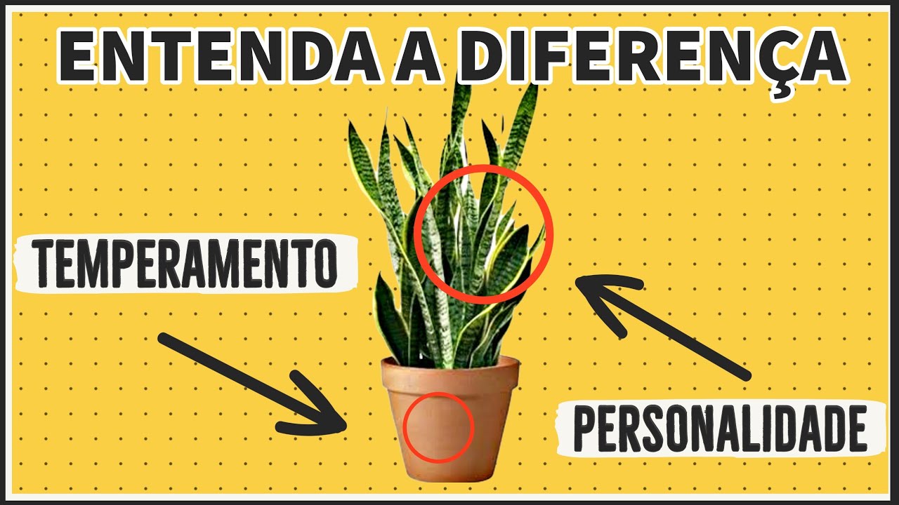 SE VOCÊ NÃO APRENDER ESSA DIFERENÇA, NUNCA VAI DESCOBRIR SEU TEMPERAMENTO!