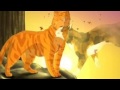 Warrior cats - Firestar X Spottedleaf 