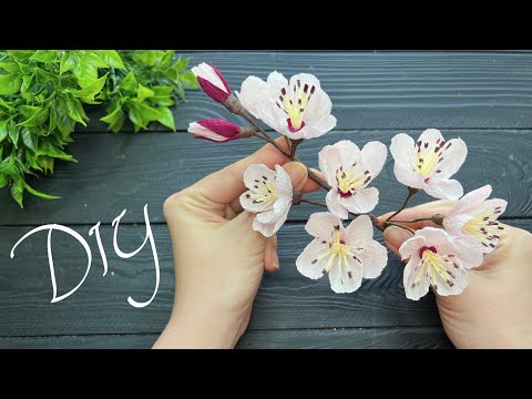 Crepe Paper Sakura Decorations How to make Cherry Blossoms!
