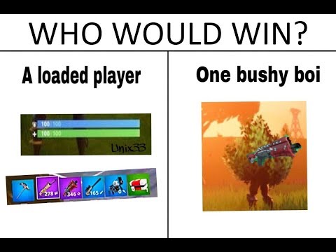 Bushy Boi Vs Spikey Boi! Who wins?