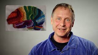 Psychedelic Science explained by Berkeley neuroscientist | 101 in 101