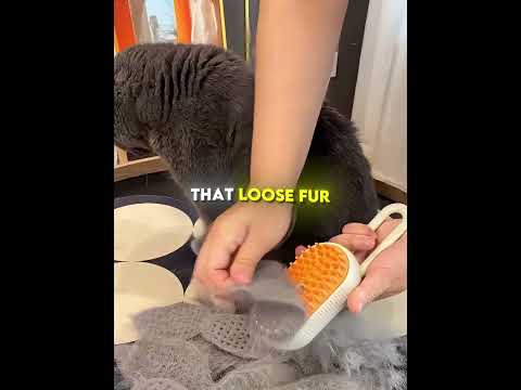 This Cat Enjoyed Getting Brushed❤️