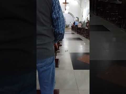 I.Domingo Savio Bendicion Inicial Santa Misa 1 de Agosto 19hrs.Padre Maciel Diacono Flor.👍🙏💙😊gracias