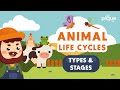 Animal Life Cycle Types And Stages Primary School Science Animation