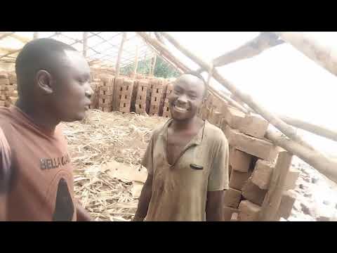 An intellectual making bricks beyond doubts