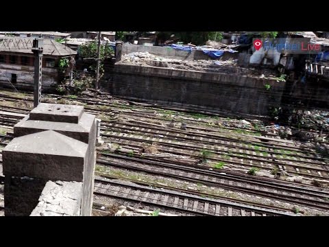 मुंबईकरांना फसवून पाडला हँकॉक ब्रिज?