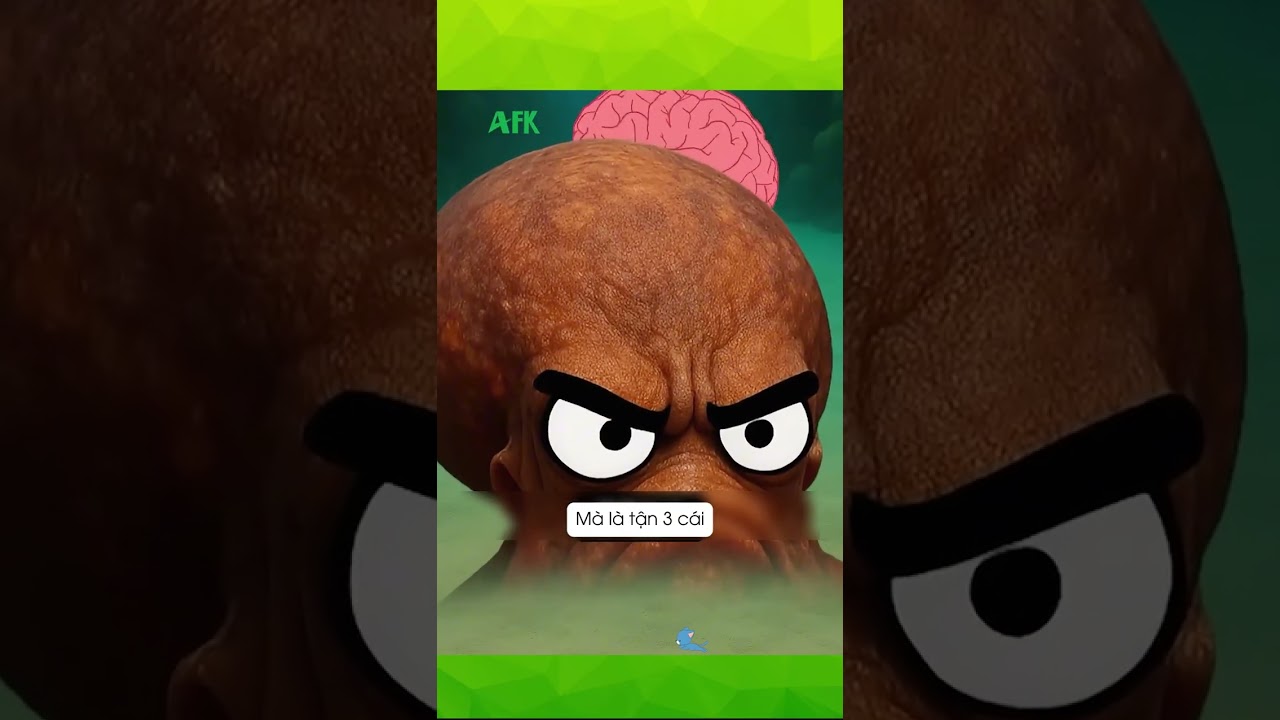 Lý do Bạch Tuộc bị xem là sinh vật ngoài hành tinh