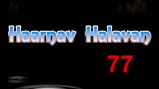 Support your local band: Haarnav Halavan - הארנב הלבן
