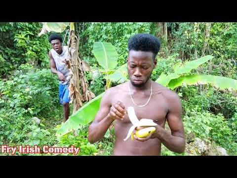 Fry Irish world war 4