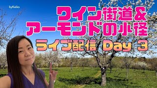 ライブ中継！Day3 ドイツ・アーモンドの小径ハイキング 1/7