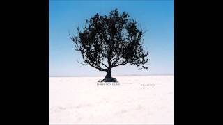 Shiny Toy Guns - Stripped