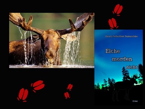 Norwegen-Krimi: Elche morden nicht