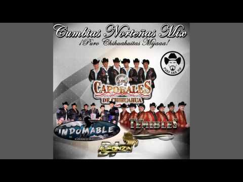 Cumbias Norteñas Mix 2016 | Puro Chihuahuitas Mijaaa ► DjAlfonzin