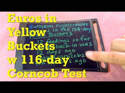 Wormery housekeeping & 154-day yellow buckets w ENC worms get fed - vermicompost