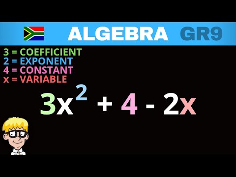 Algebra Grade 9: Coefficient, variable, constant