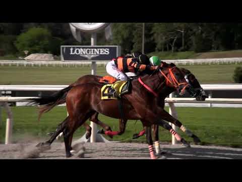 211017 c04 HONORATO (BRZ)