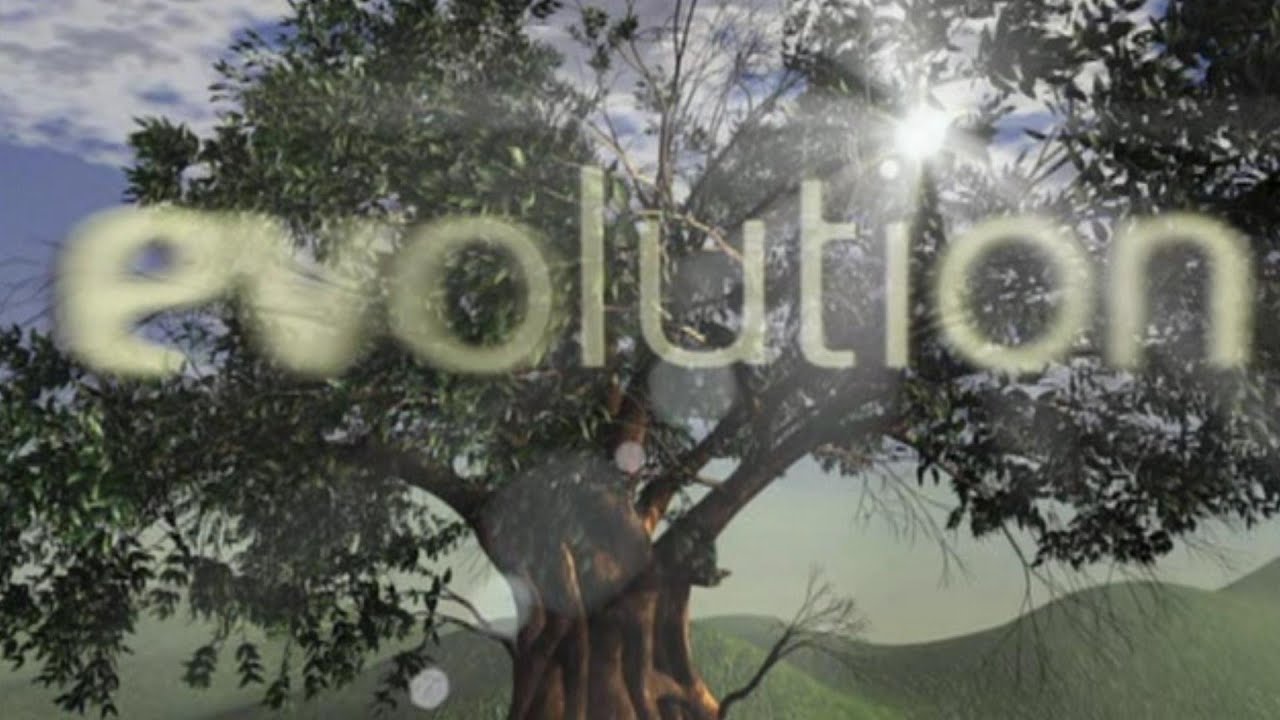 Evolution: The Minds Big Bang