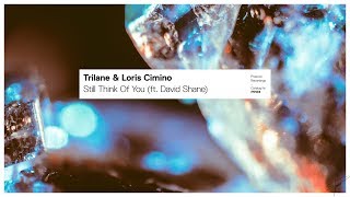 Trilane &amp; Loris Cimino - Still Think Of You (ft. David Shane)