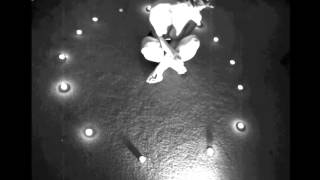 Closet Witch BLACK TONGUE + BUG BITES + YOUR GRACE (Music Video)