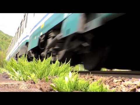 INTERCITY IN TRANSITO VELOCE A RIGOROSO.(AL) 15 - 4 - 2017