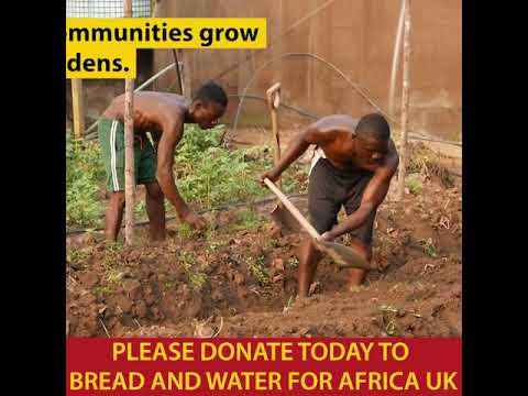 Help our school rise again after the pandemic