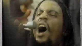 Mandrill "Hang Loose"