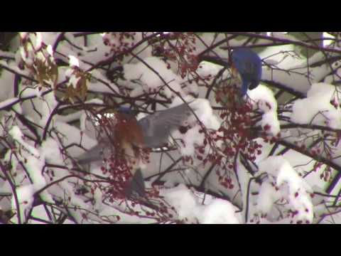 All Is Well - Thomas Johnson Antique Furniture Restoration