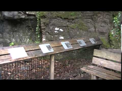 Coal Mining Blue Mtns Australia