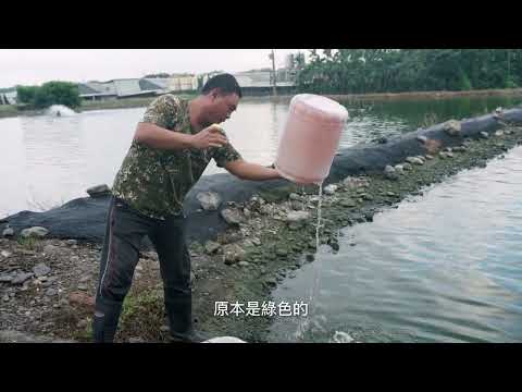 112漁業署 光合菌計畫成果影片 V2