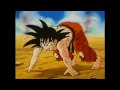 Dragon Ball Goku S Meteor Combination