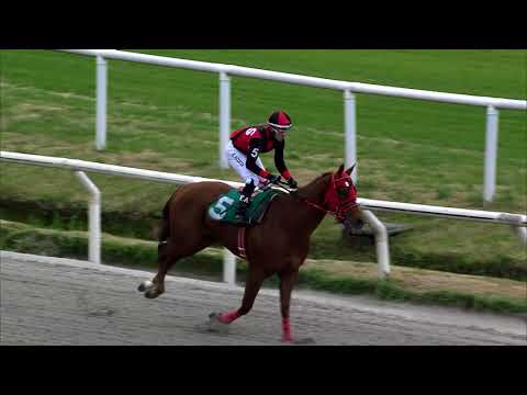 210814 c01 ILUSIONADO FT