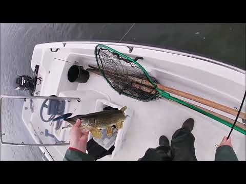 Kalastus - Haukea mereltä