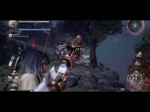 Nioh the final Round