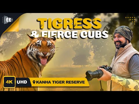 Ep 3 - Kanha Jungle Safari, DJ Tigress & Her Cubs in the Wild!