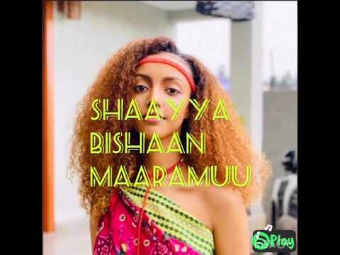 2020 New Oromo music Addisu furgasa shaayya lyrics